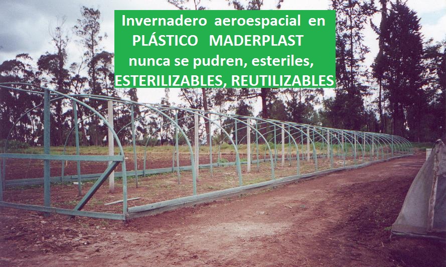 invernadero tipo túnel invernaderos iglú en madera plástica maderplast invernadero de cuarentena invernadero climatización invernadero calentamiento enfriamiento congelación secado congelar 000 invernadero tipo túnel invernaderos iglú en madera plástica maderplast invernadero de cuarentena invernadero climatización invernadero calentamiento enfriamiento congelación secado congelar 000